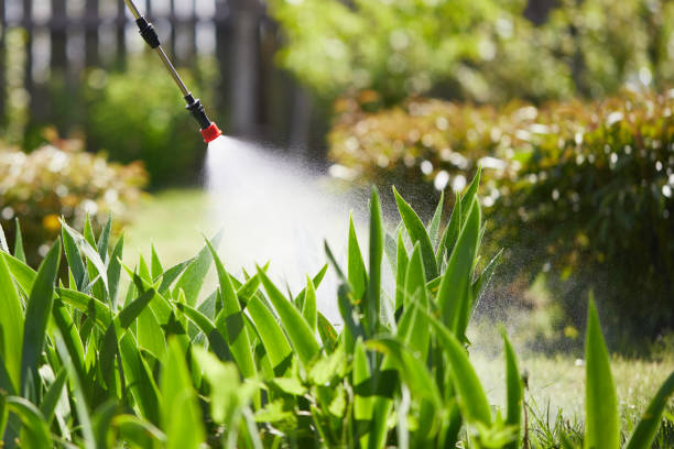 Tamper-Resistant Bait Stations for Rodents in Phoenix Lake