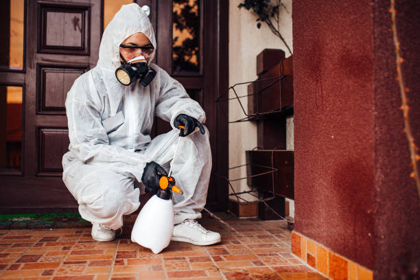 Attic and Crawl Space Rodent Treatment in Phoenix Lake
