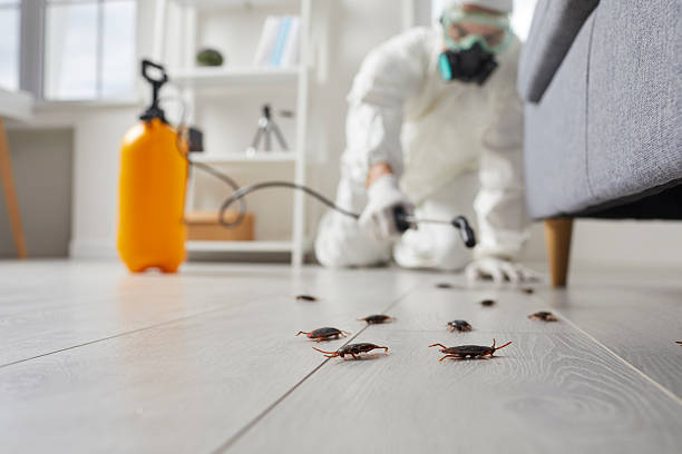 Commercial Rodent Management in Phoenix Lake